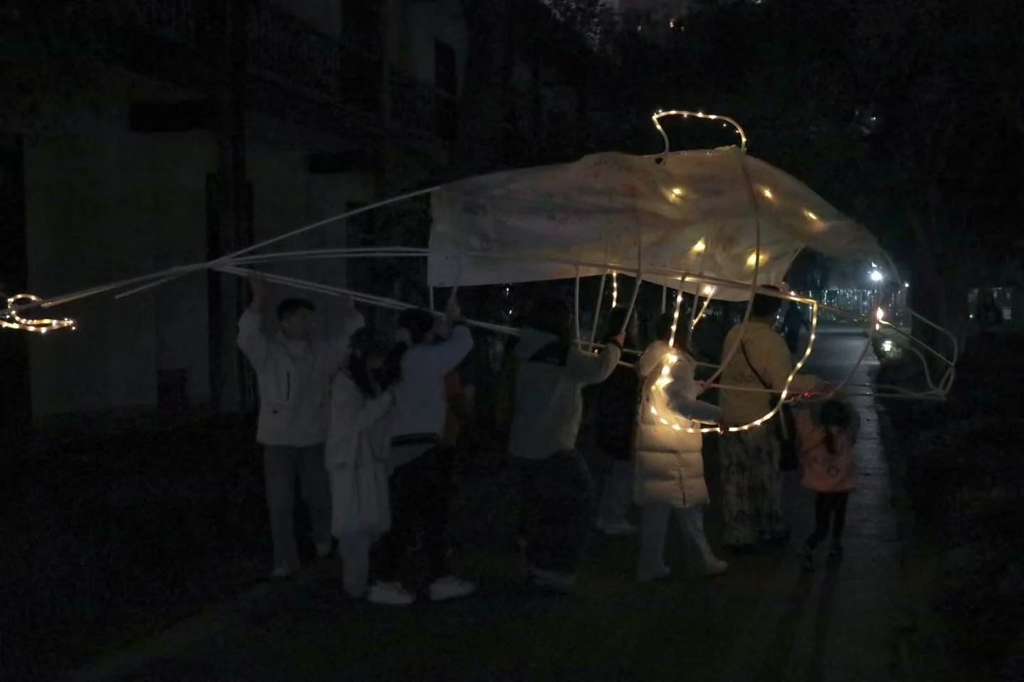 让白海豚在上海的夜晚游动